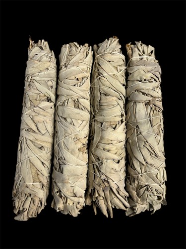 White sage for smudging - white,